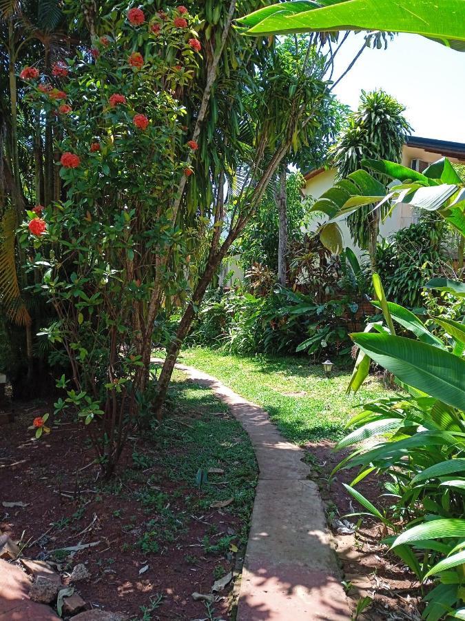 Garden Stone Hostel Puerto Iguazu Ngoại thất bức ảnh